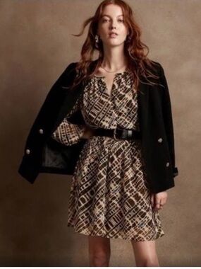 Banana Republic Printed Brown and Black Fit and Flare Mini Dress